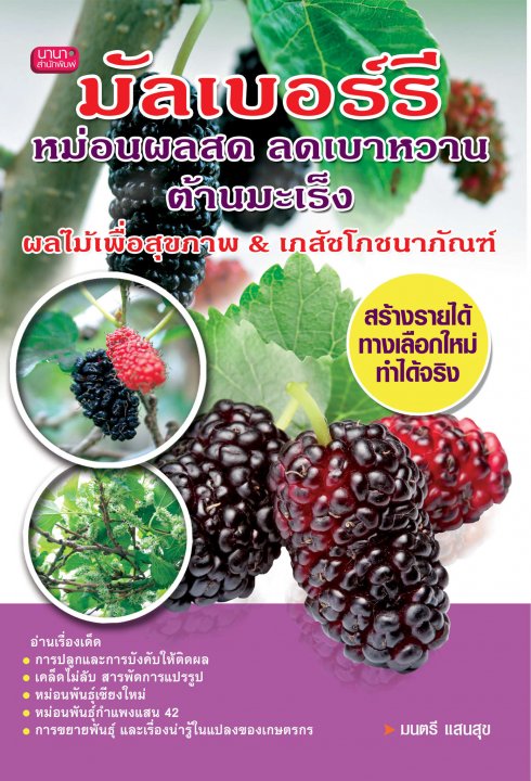 มัลเบอร์รี