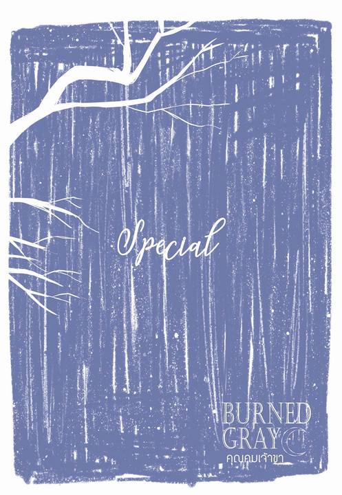 Special Burned Gray à¸à¸¸à¸à¸à¸¡à¹à¸à¹à¸²à¸à¸²